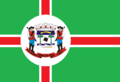 Bandeira de Piraí do Sul