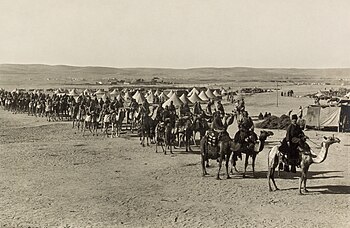Ottoman camel corps, First Suez Offensive