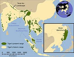 Zgodovinska razširjenost tigrov (bledorumena) in razširjenost leta 2006 (zelena).[2]