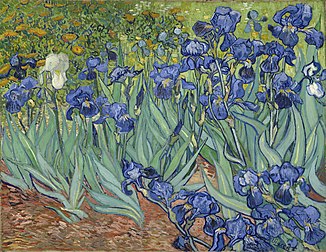Lírios (maio de 1889), por Vincent van Gogh. Óleo sobre tela, 74,3 × 94,3 cm, Saint-Rémy-de-Provence, França. (definição 9 600 × 7 413)