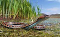 A California red-sided garter snake in its natural habitat. Winner of the Nature category 2021, Jaden Clark, USA
