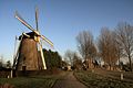 Windmill De Bommelaer