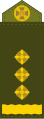 Ucraïna (polkovnik/полковник)