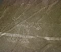Nazca çizgileri örnekleri-3