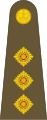 Exército Britânico (Captain)