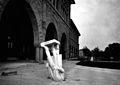 1. Louis Agassiz szobra a kaliforniai Stanford Egyetemen 1906-ban (javítás)/(csere)