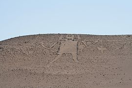 El Gigante de Atacama