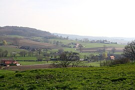 Parc naturel du Pays des Collines avec le Bois Lefèbvre, vue depuis le Hameau des Papins à Frasnes-lez-Anvaing.