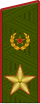 Повседневный погон генерала армии (с 2013)