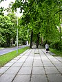 Riga'nın batı yakası geniş parklar ve yeşil caddelerle bezenmiştir.