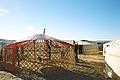 Ger Mongolia: memasang lapisan tipis bagian dalam atap