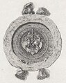 Жыгімонт Аўгуст (1539)