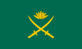 Weermagvlag van Bangladesj