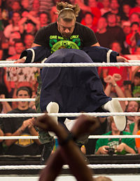 Triple H aplicando o Pedigree em Damien Sandow no Raw 1000 em julho de 2012.