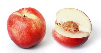 File:White nectarine and cross section02 edit.jpg (2010-05-05)