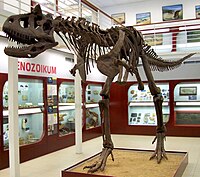Magod elafa Carnotaurus sastrei.