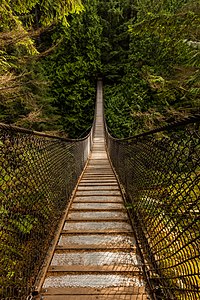 Висећи мост у кањону Лин у Ванкуверу, Канада. Изграђен је 1912. године, а налази се 50 m изнад кањона