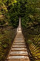 41 Puente colgante sobre el cañón Lynn, Vancouver, Canadá, 2017-08-14, DD 10 uploaded by Poco a poco, nominated by Tomer T