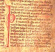 Utsnitt fra Njåls saga i Möðruvallabók (AM 132 fol.13r) omtrent år 1350.