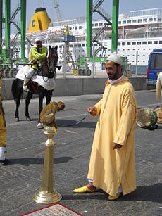 Férfi hagyományos öltözetben Casablancában