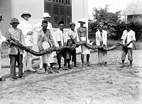 Groupe de sept personnes portant un très long serpent