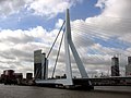 Erasmusbrug in Rotterdam Erasmus Bridge in Rotterdam