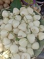 Fruits of Syzygium samarangense, for sale in West Bengal, India.