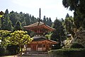 Kongozanmaiin pagodája (Japán nemzeti kincs)