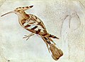 „Paukštis“ (apie 1430-40, Luvras, Paryžius)