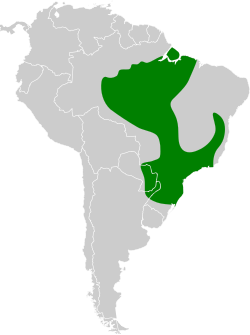 Distribución geográfica del mosquero silbador.