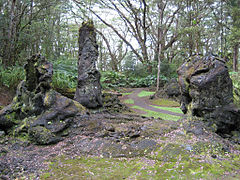 熔岩樹型（ハワイ島）