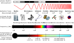 Diagram över det elektromagnetiska spektrumet.