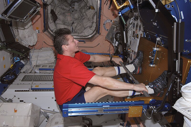 File:ISS-19 Gennady Padalka exercises using the aRED in the Unity node.jpg
