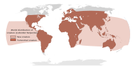 Distribución mundial aproximada das especies de cobras