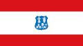 Flag of Asunción, Paraguay