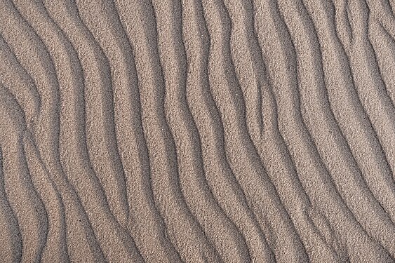 Ripple marks in the sand