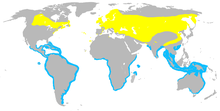        Breeding range        Wintering range (ranges are approximate)