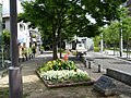 野田駅 - 大阪市場駅貨物支線跡。現在は遊歩道（左側）。