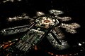 San Francisco Airport (SFO) at night