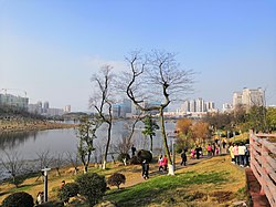 Taman Shennong, Maret 2019