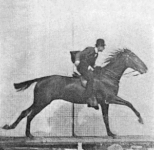 אנימציית סוס דוהר בצילום מעשה ידי אדוארד מייברידג'.