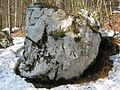 Napoleon's stone in Radovna valley, Slovenia