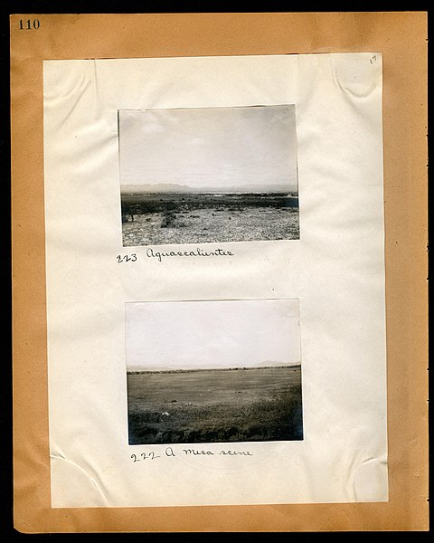 File:Chase album, 1898, 1903, and undated (Page 110) BHL46399545.jpg