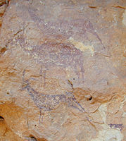 Cuevas de la Araña, Arte Rupestre Levantino de Bicorp