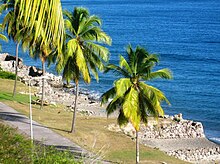 A beach with mainly palm trees and destroyed buildings