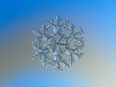 Doğal bir kar tanesinin makro fotoğrafı. 4 veya 5 milimetre çapında olan bu kar kristali, diğerlerine göre daha büyüktür. Aralık 2014, Moskova.