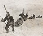 August 2022: Fridtjof Nansen mit Begleitern 1888 auf dem grönländischen Eisschild