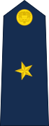 Insignia de subteniente de la Fuerza Aérea.
