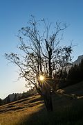 Sonnenuntergang am Wilden Kaiser, Tirol