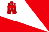 Flag of Baraona, Spain